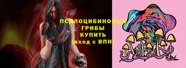 гашик Алзамай