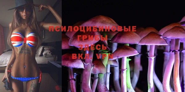 кокаин колумбия Алексин