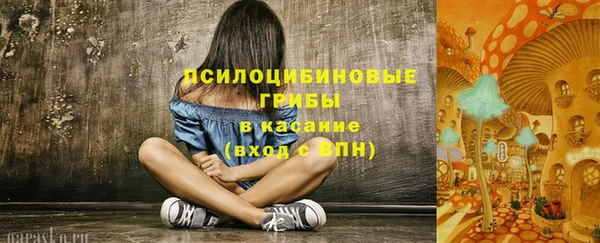 гашик Алзамай